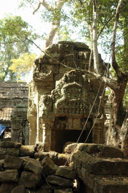 Ta Prohm - the temple of trees - Cambodia