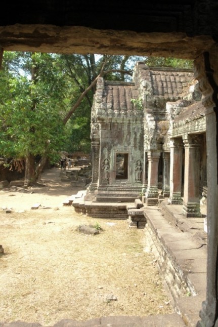 Escaping from the tourist hoards at Ta Prohm - Cambodia