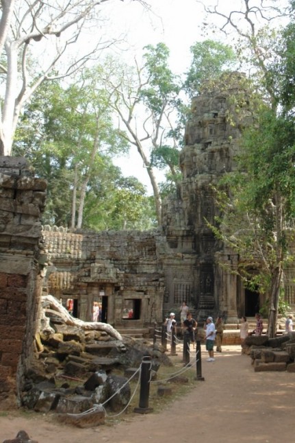 Still standing - just.  Ta Prohm Temple - Cambodia