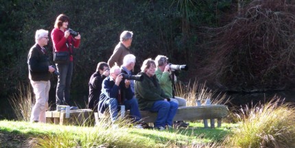 Get the long lens out - Rennie Photo